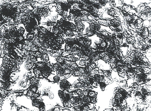 Abstract Image