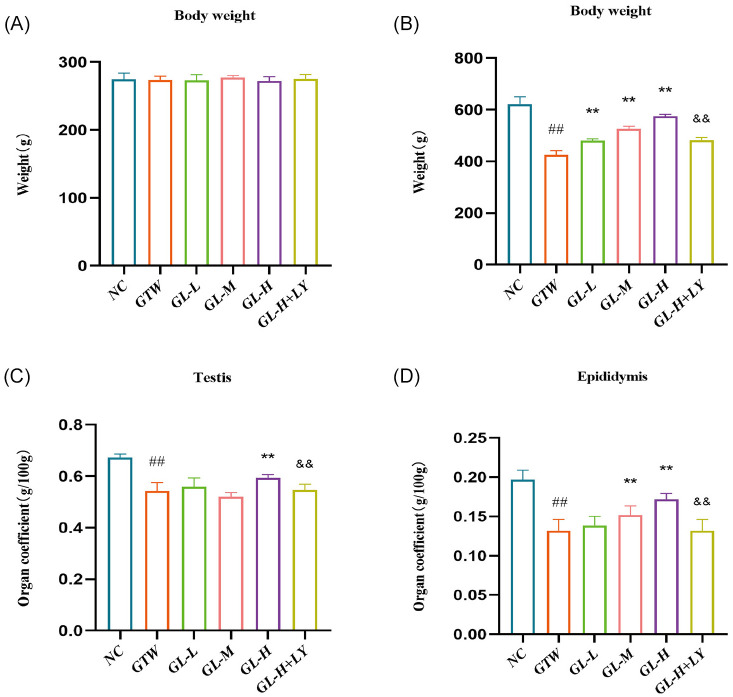 Guijiajiao-Lujiaojiao Synergistically Promote Spermatogenesis in Tripterygium Wilfordii Polyglycoside-Induced Oligoasthenozoospermia Rats via PI3K/AKT Signaling Pathway.