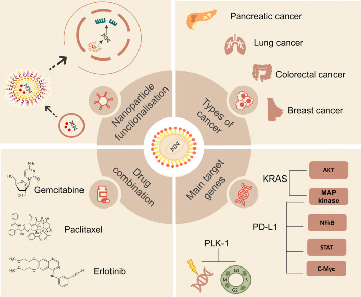 Nanoparticles Bounded to Interfering RNAs as a Therapy for Pancreatic Cancer: A Systematic Review.