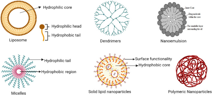 Hypocrellin: A Natural Photosensitizer and Nano-Formulation for Enhanced Molecular Targeting of PDT of Melanoma.