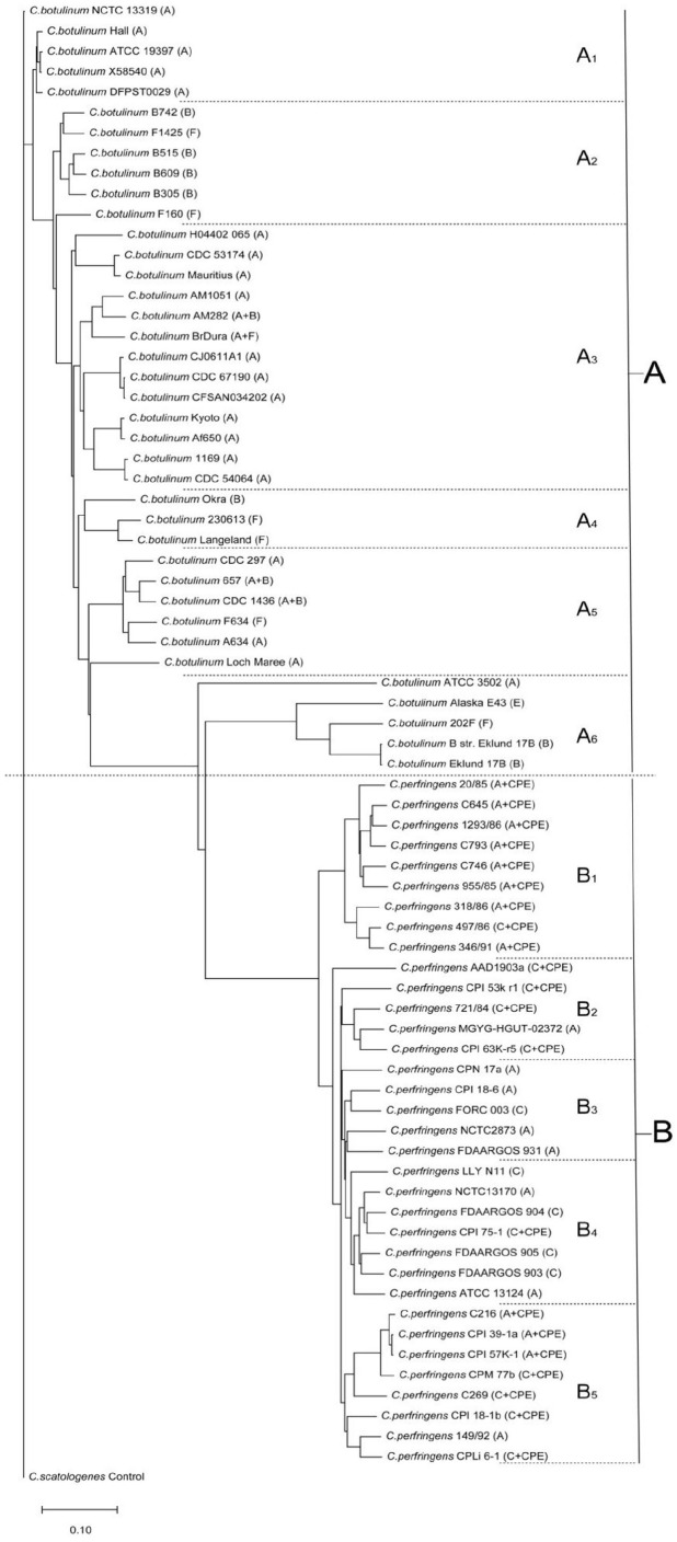 Comparative Phylogenetic Analysis and Protein Prediction Reveal the Taxonomy and Diverse Distribution of Virulence Factors in Foodborne <i>Clostridium</i> Strains.