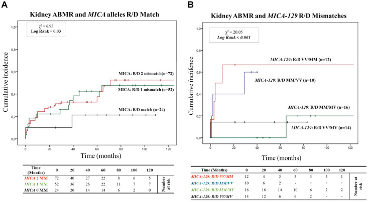 <i>MICA</i> and <i>NKG2D</i> gene polymorphisms influence graft survival, and response to therapy in kidney transplantation.