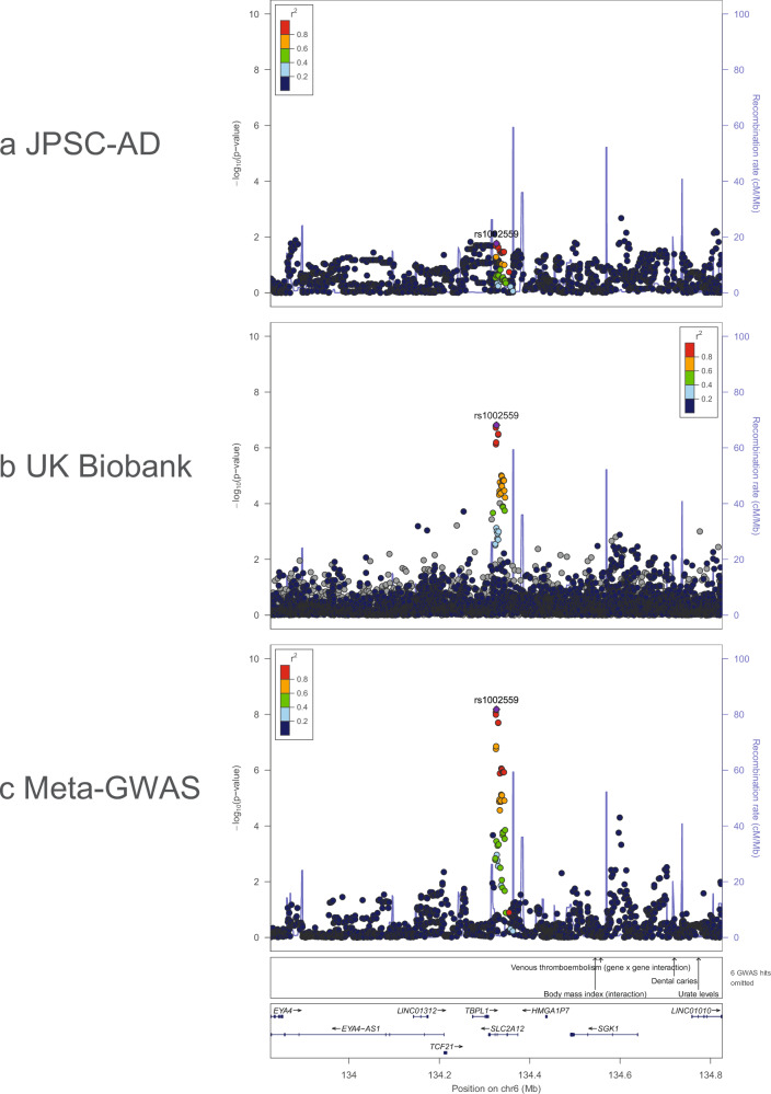Common protein-altering variant in GFAP is associated with white matter lesions in the older Japanese population.