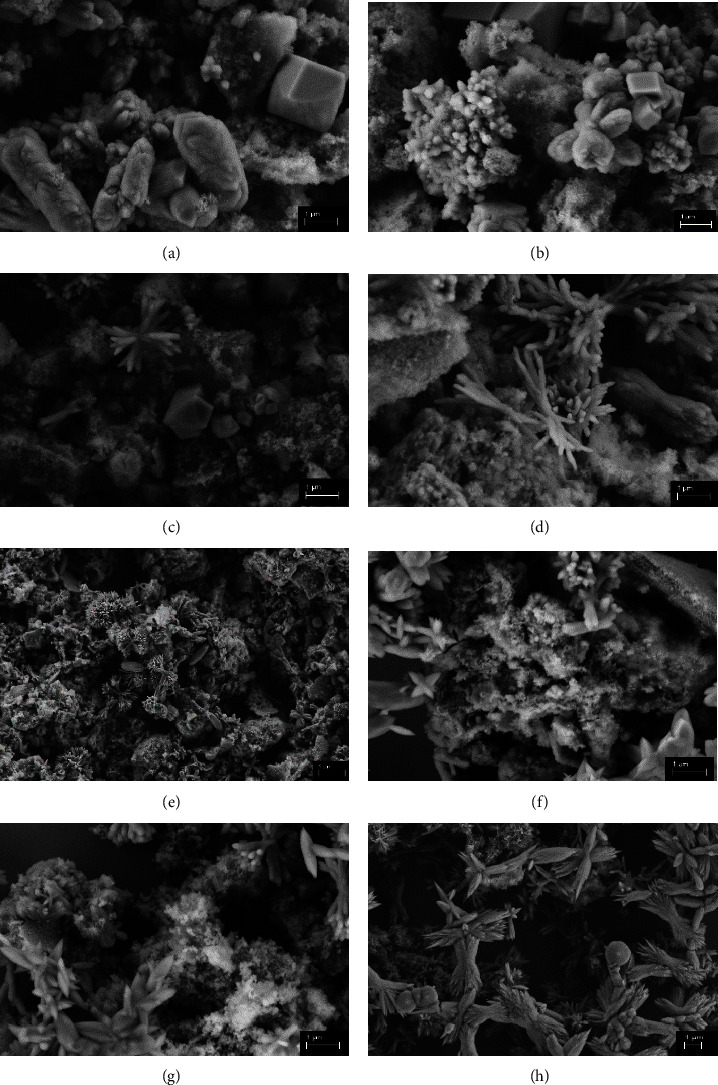 Synthesis of Calcium Phosphate by Microwave Hydrothermal Method: Physicochemical and Morphological Characterization.