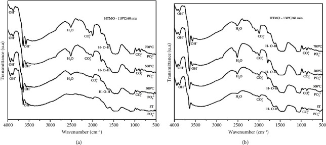 Synthesis of Calcium Phosphate by Microwave Hydrothermal Method: Physicochemical and Morphological Characterization.