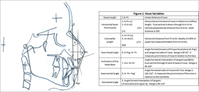 A cross-sectional study to correlate nasal profile and chin position with cephalometric lip profile.