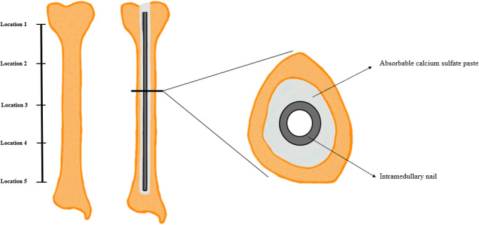 Abstract Image