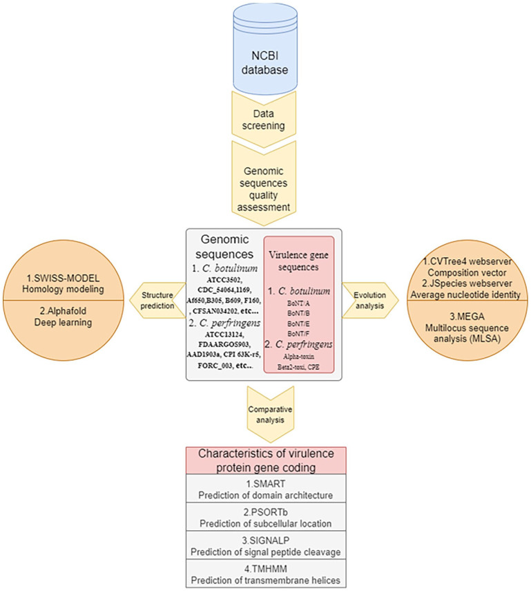 Comparative Phylogenetic Analysis and Protein Prediction Reveal the Taxonomy and Diverse Distribution of Virulence Factors in Foodborne <i>Clostridium</i> Strains.
