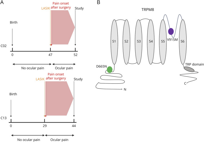 TRPM8 Mutations Associated With Persistent Pain After Surgical Injury of Corneal Trigeminal Axons.