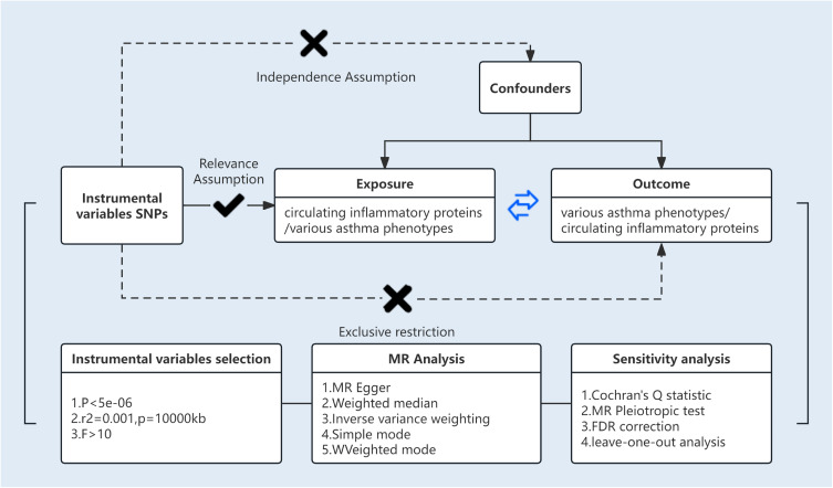 Causality Between 91 Circulating Inflammatory Proteins and Various Asthma Phenotypes: A Mendelian Randomization Study.