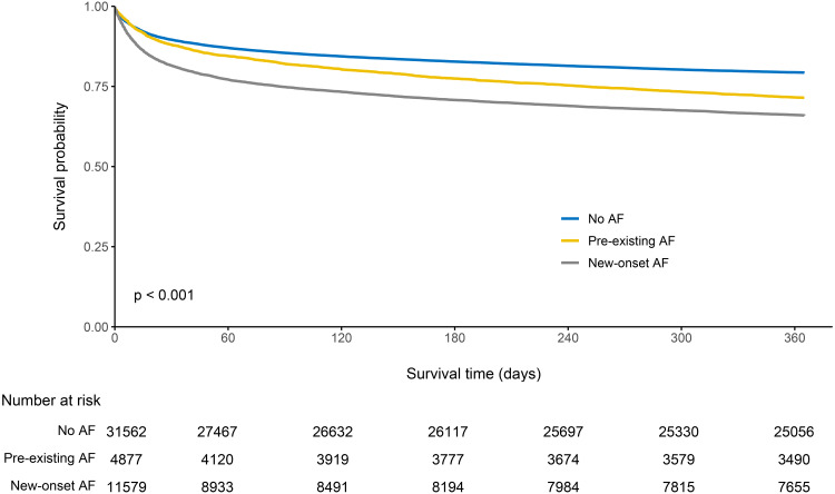 Impact of New-Onset Atrial Fibrillation on Mortality in Critically Ill Patients.
