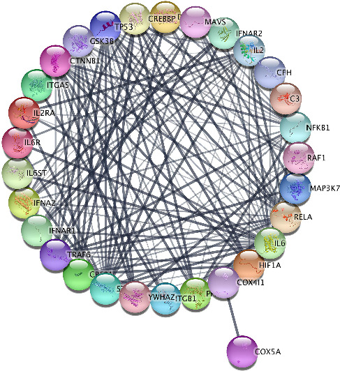 Protein Interaction Analysis and Molecular Simulation of the Anti-Inflammatory Activities in <i>Melaleuca cajuputi</i> Extract Against COVID-19.