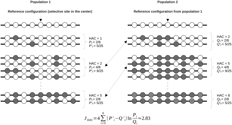 iHDSel software: The price equation and the population stability index to detect genomic patterns compatible with selective sweeps. An example with SARS-CoV-2.