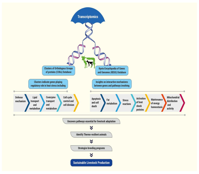 Climate Resilience in Farm Animals: Transcriptomics-Based Alterations in Differentially Expressed Genes and Stress Pathways.