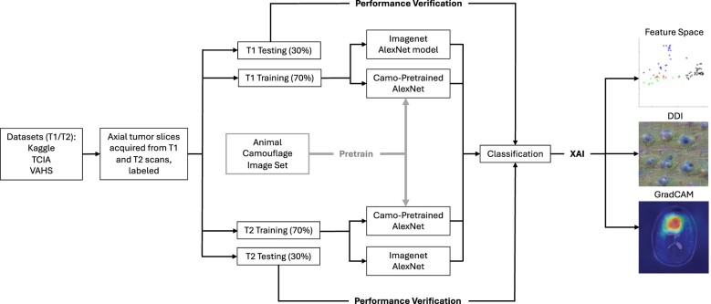Deep learning and transfer learning for brain tumor detection and classification.