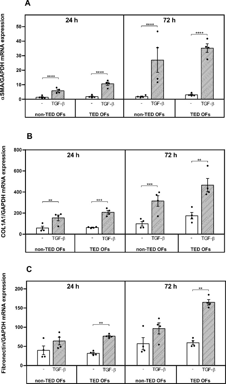 Characteristics of Hyaluronan Metabolism During Myofibroblast Differentiation in Orbital Fibroblasts.
