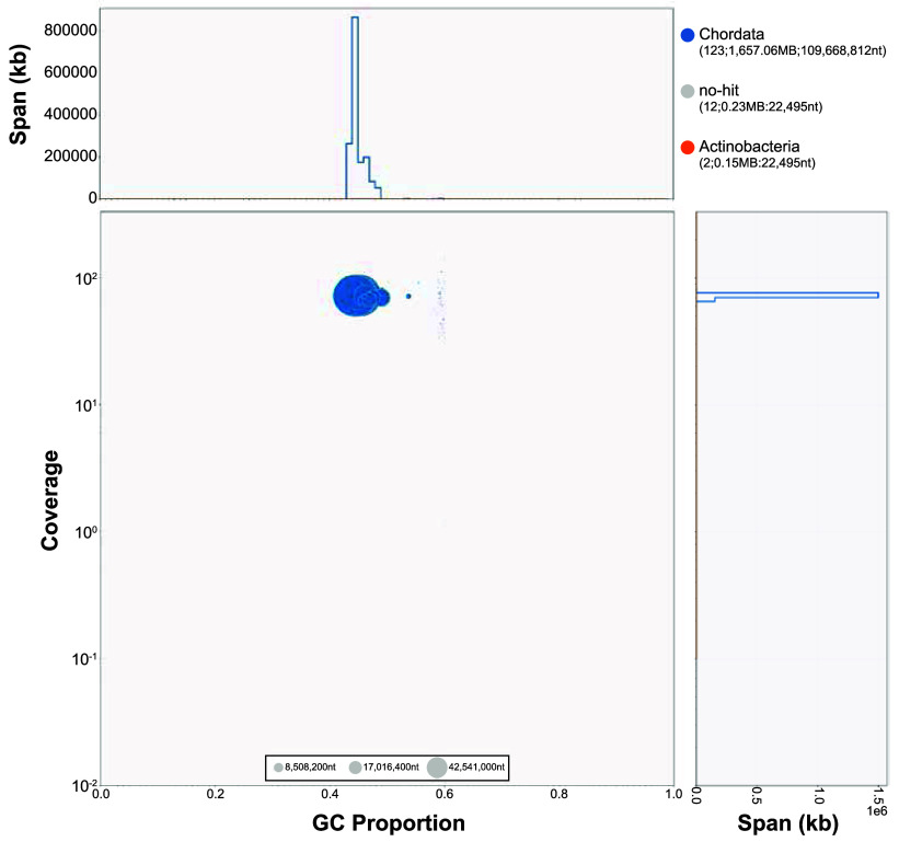 Chromosome-level genome assembly and annotation of the crested gecko, <i>Correlophus ciliatus</i>, a lizard incapable of tail regeneration.