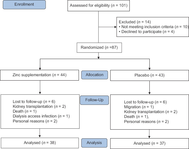 The Efficacy of Zinc Gluconate Supplementation in the Improvement of Malnutrition Indices and Skin Abnormalities in Hemodialysis Patients: A Randomized Clinical Trial.