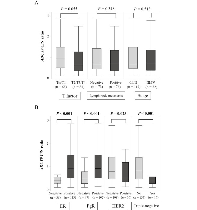 Adenylate cyclase 9 expression level is associated with hormone receptor-positive breast cancer and predicts patient prognosis.