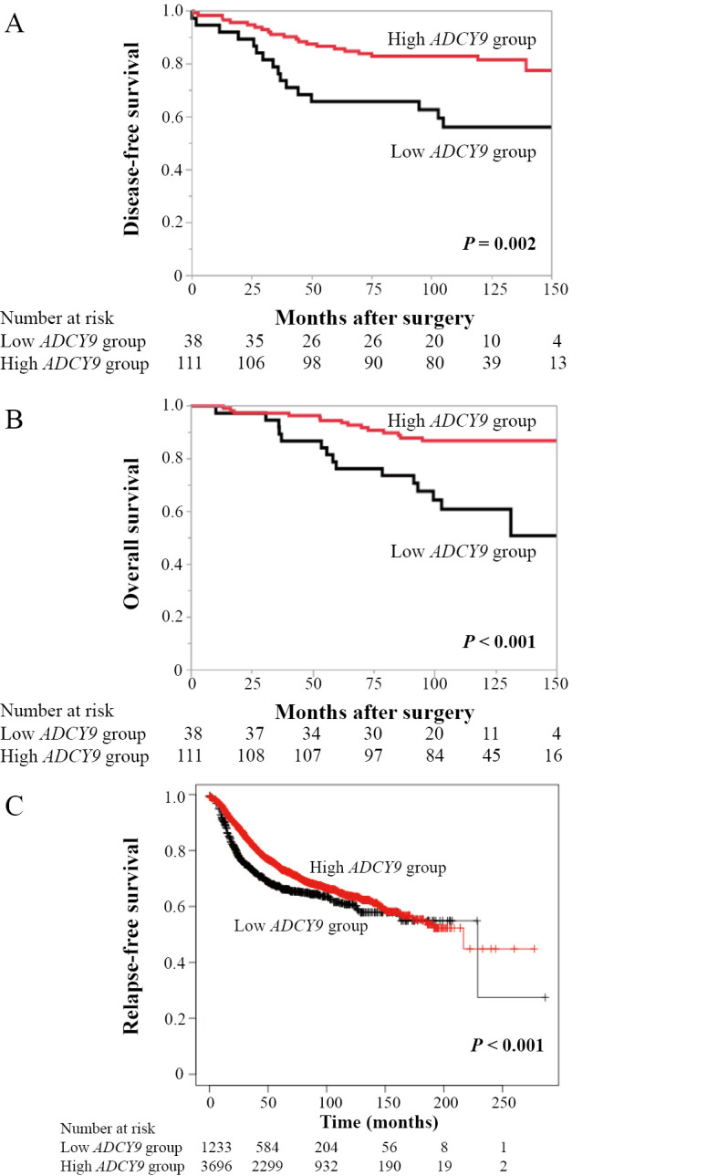 Adenylate cyclase 9 expression level is associated with hormone receptor-positive breast cancer and predicts patient prognosis.