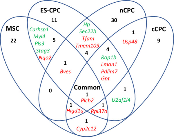Cell-based therapies reverse the heart failure-altered right ventricular proteome towards a pre-disease state.