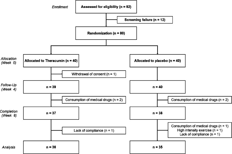 Effects of 8-week Theracurmin Super (TS-P1; Curcumin) supplementation on exercise-induced oxidative stress: A randomised, double-blind, placebo-controlled parallel clinical trial