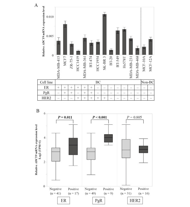 Adenylate cyclase 9 expression level is associated with hormone receptor-positive breast cancer and predicts patient prognosis.