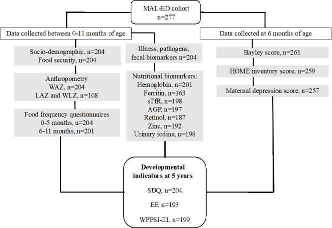 Early life adverse environmental, nutrition and infection factors are associated with lower developmental scores in Pakistani children at 5 years: a cohort study.