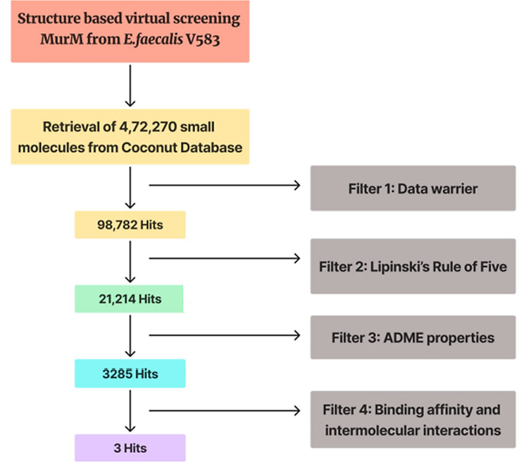 Discovery of potential natural therapeutics targeting cell wall biosynthesis in multidrug-resistant Enterococcus faecalis: a computational perspective.