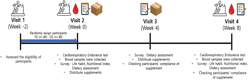 Effects of 8-week Theracurmin Super (TS-P1; Curcumin) supplementation on exercise-induced oxidative stress: A randomised, double-blind, placebo-controlled parallel clinical trial