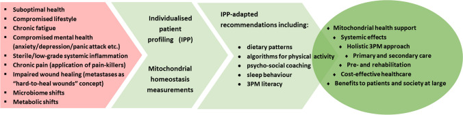 Mitochondria-based holistic 3PM approach as the 'game-changer' for individualised rehabilitation-the proof-of-principle model by treated breast cancer survivors.