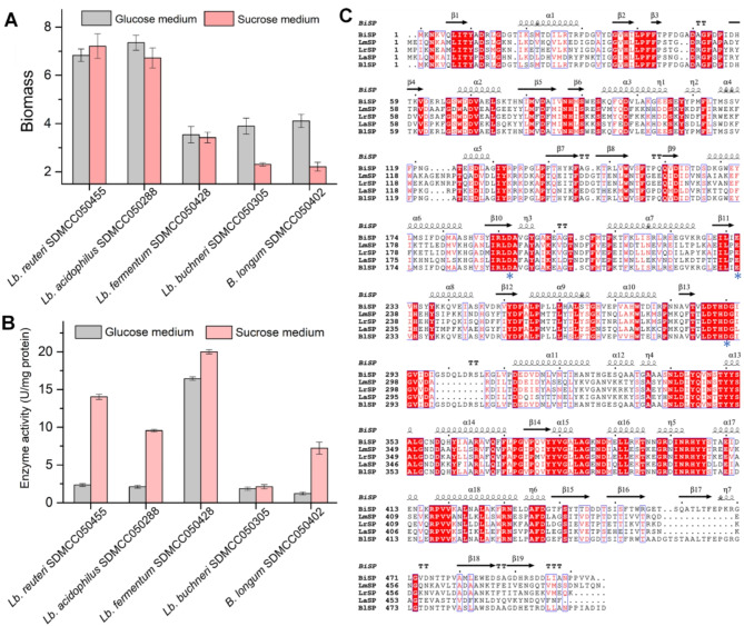 2-O-α-D-glucosyl glycerol production by whole-cell biocatalyst of lactobacilli encapsulating sucrose phosphorylase with improved glycerol affinity and conversion rate.