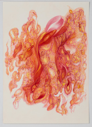 Rethinking Outsider Art in the digital age: an overview of Cara Macwilliam's artistic practice.