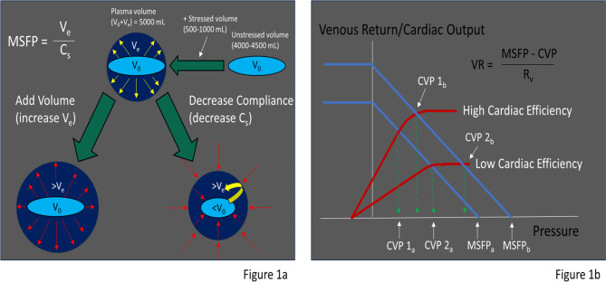 VExUS: common misconceptions, clinical use and future directions.