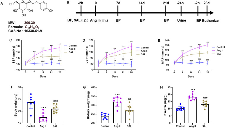 Salidroside Pre-Treatment Inhibits Hypertensive Renal Injury and Fibrosis Through Inhibiting Wnt/β-Catenin Pathway.