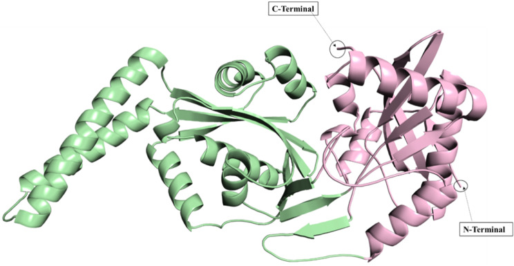 Discovery of potential natural therapeutics targeting cell wall biosynthesis in multidrug-resistant Enterococcus faecalis: a computational perspective.