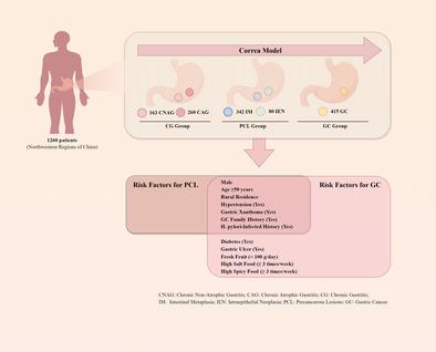 Analysis of Risk Factors for Gastric Cancer and Precancerous Lesions: A Case-Control Study.