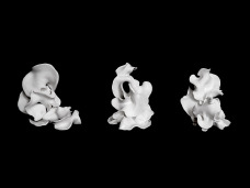 Rethinking Outsider Art in the digital age: an overview of Cara Macwilliam's artistic practice.