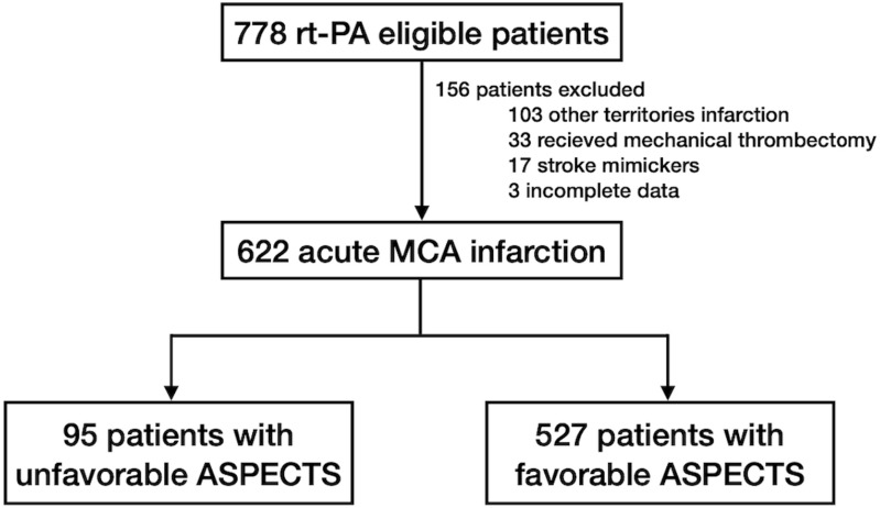 Utility of the ASPECT Score for Predicting Intracranial Hemorrhage Following Intravenous Thrombolysis in Patients with Suspected MCA Infarction: Insights from the Northern Thai Stroke Registry.