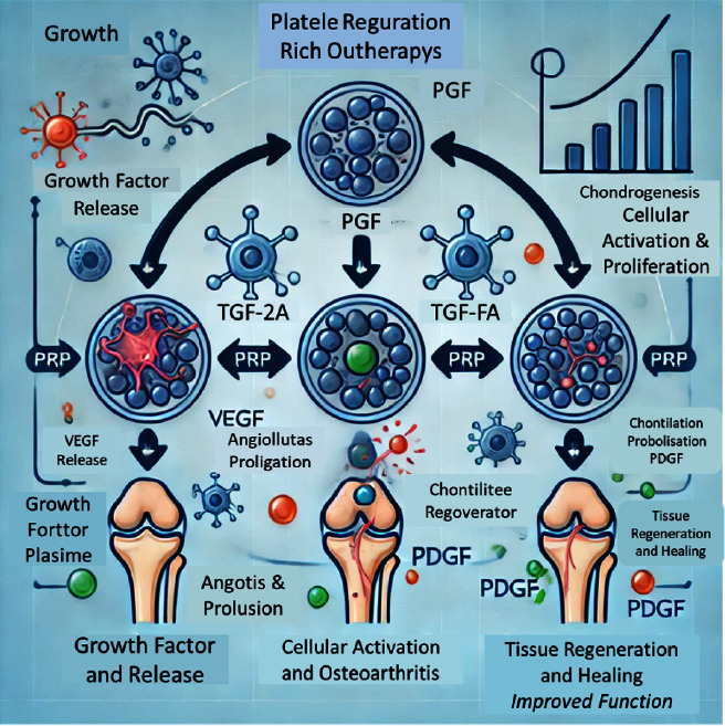 Addressing Knee Osteoarthritis Pathology Through Platelet-Rich Plasma Treatment: A Comprehensive Review.