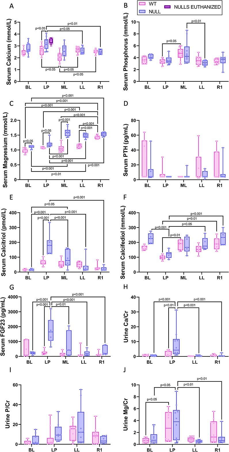 Maternal loss of 24-hydroxylase causes increased intestinal calcium absorption and hypercalcemia during pregnancy but reduced skeletal resorption during lactation in mice.