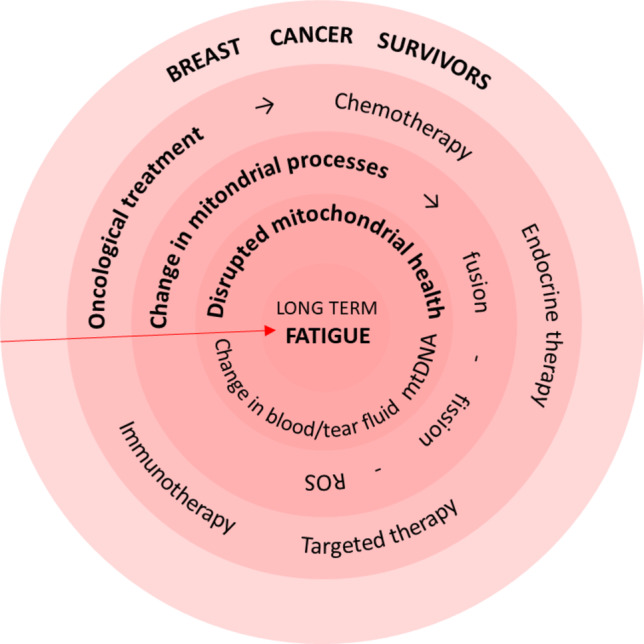 Mitochondria-based holistic 3PM approach as the 'game-changer' for individualised rehabilitation-the proof-of-principle model by treated breast cancer survivors.
