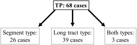 Does Somatosensory-Evoked Potential Simultaneously Decrease with Transcranial Motor-Evoked Potential Alarm? A Multicenter Study by the Monitoring Committee of the Japanese Society for Spine Surgery and Related Research.