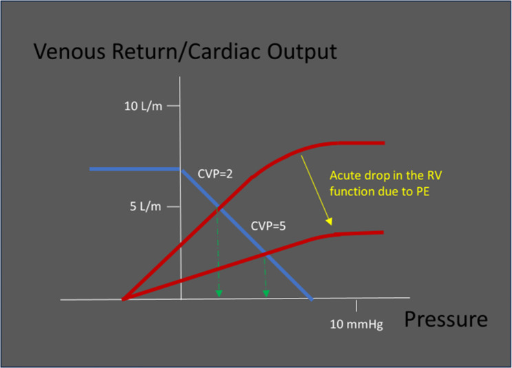 VExUS: common misconceptions, clinical use and future directions.