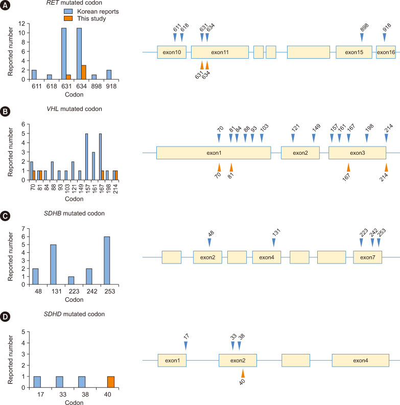 Germline Mutations and Phenotypic Associations in Korean Patients With Pheochromocytoma and Paraganglioma: A Multicenter Study and Literature Review.