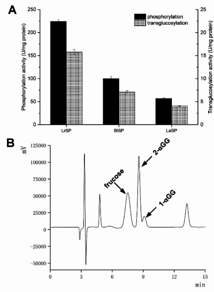 2-O-α-D-glucosyl glycerol production by whole-cell biocatalyst of lactobacilli encapsulating sucrose phosphorylase with improved glycerol affinity and conversion rate.