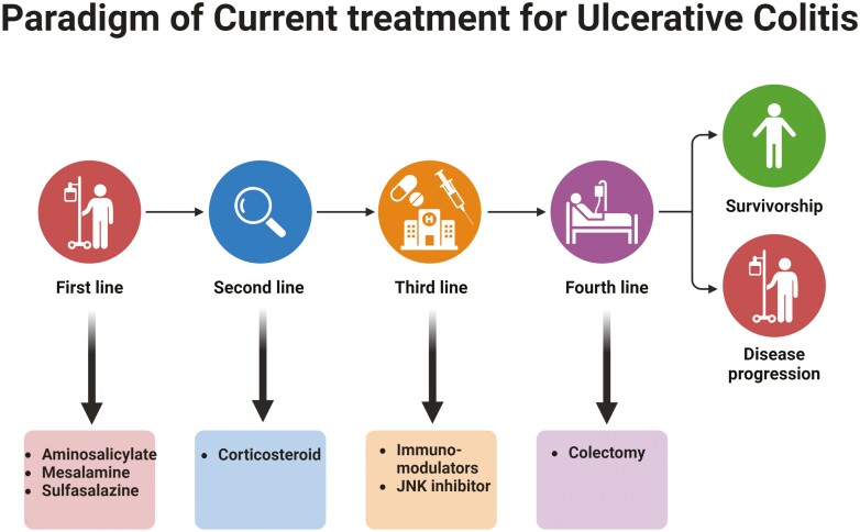A Future Avenue of Treatment Ulcerative Colitis Targeting Macrophage Polarization: A Phytochemical Application.