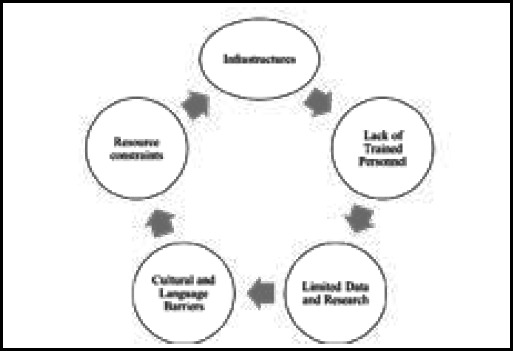 The Growing Need for Web-Based Simulation in Low- and Middle-Income Countries.