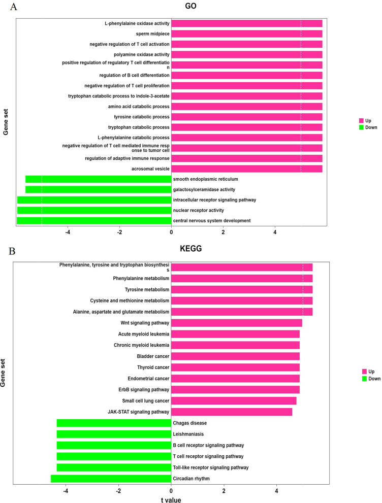 Immune Microenvironment Alterations and Identification of Key Diagnostic Biomarkers in Chronic Kidney Disease Using Integrated Bioinformatics and Machine Learning.