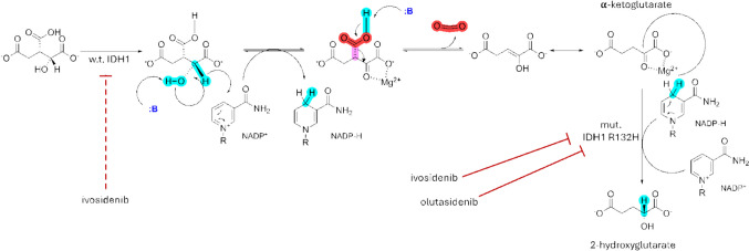 Looking Beyond the Surface: Olutasidenib and Ivosidenib for Treatment of mIDH1 Acute Myeloid Leukemia.